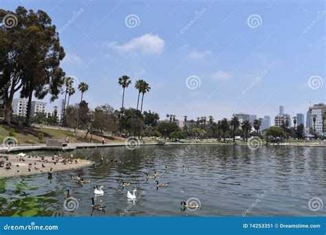 Los Angeles Macarthur Park Stock Image Image Of Water 74253351