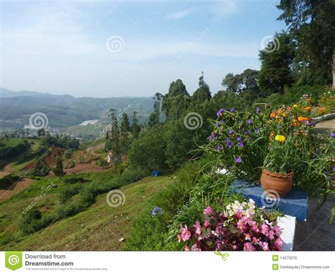 Paisaje De Ooty Imagen De Archivo Imagen De Cielo Flores 14570075