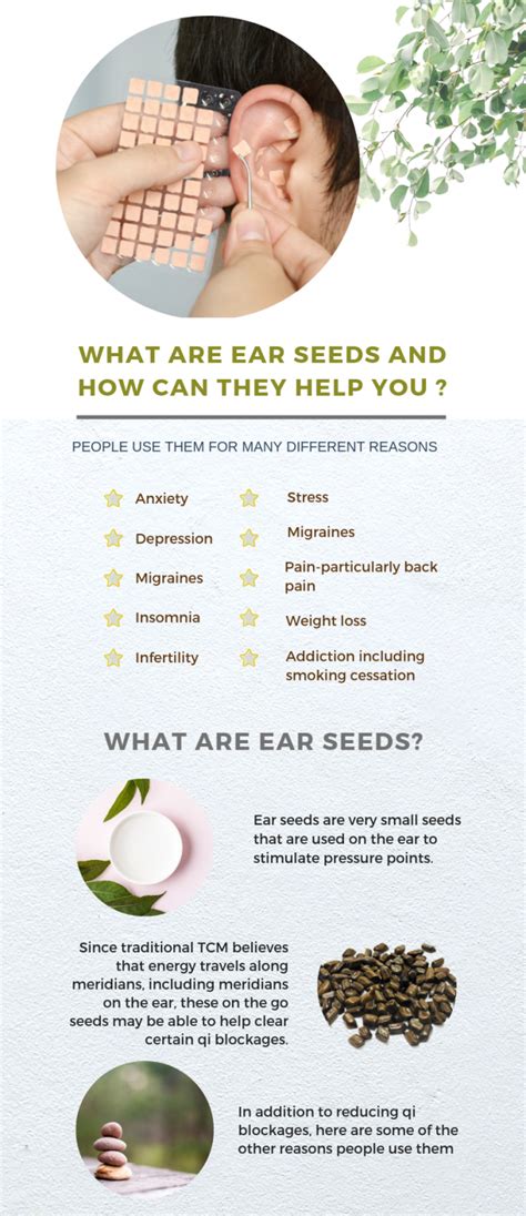 What Are Ear Seeds And Their Benefits Where To Buy Ear Seeds