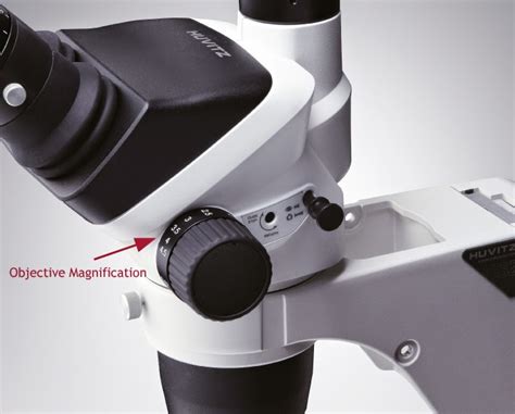 Microscope World Blog How To Calculate Stereo Microscope Magnification
