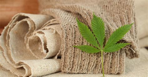 The Advantages And Disadvantages Of Hemp Fabric