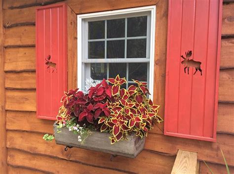 The cabin can accommodate up to four guests and has one bedroom and one full bathroom. Letchworth Cabin | Romantic Weekend WNY | Wedding Night ...