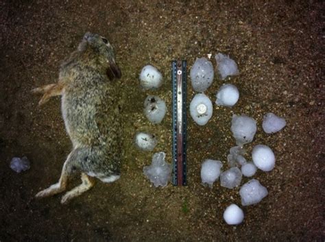 The weather system which hit on wednesday smashed everything from car windscreens to roofing and is likely to top the $400 million in losses from a series. The Original Weather Blog: "Storm Chaser" Killed by ...