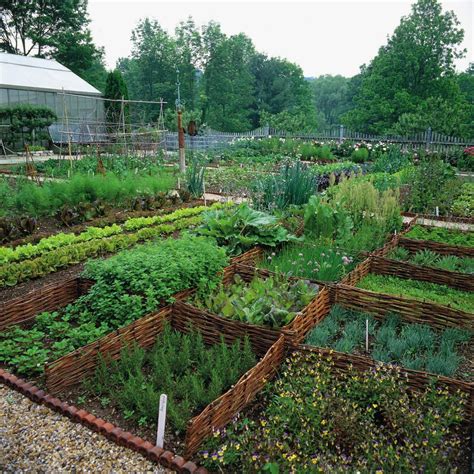 Edible Landscaping Guide Diy Project