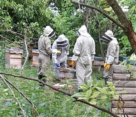 Beekeeping Courses Book Now For 2024 The Barnyard Apiaries
