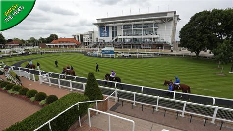 Newmarket Races Tips Five Best Bets For The Cambridgeshire Meeting On