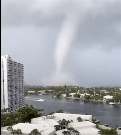 Florida Struck By Multiple Tornados Snapping Trees In Half And