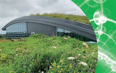 New Report Highlights How Green And Blue Roofs Can Help Mitigate