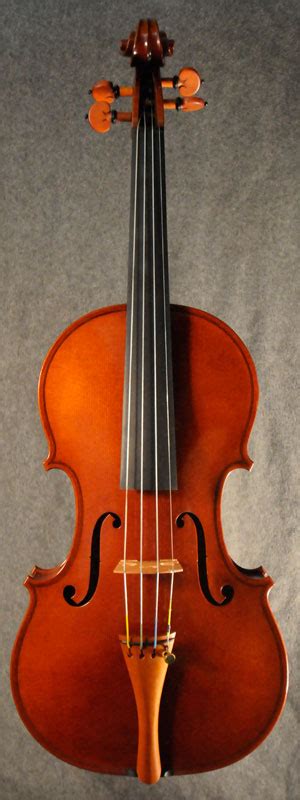 Apprentice Violin And Viola David Folland Violins