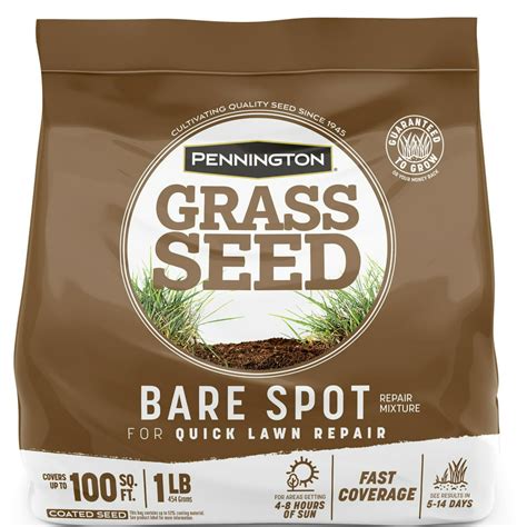 Pennington Bare Spot Grass Seed Mix For Southern Lawns 1 Lb Bag