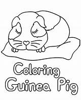 Coloring Pages Guinea Pig Printable Animal Sleeping Kids Book sketch template
