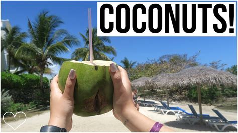 Drinking Out Of Coconuts Youtube