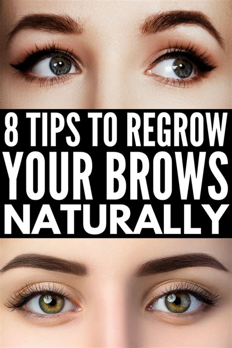 How To Grow Eyebrows Fast 8 Natural Tips And 20 Products To Teach You