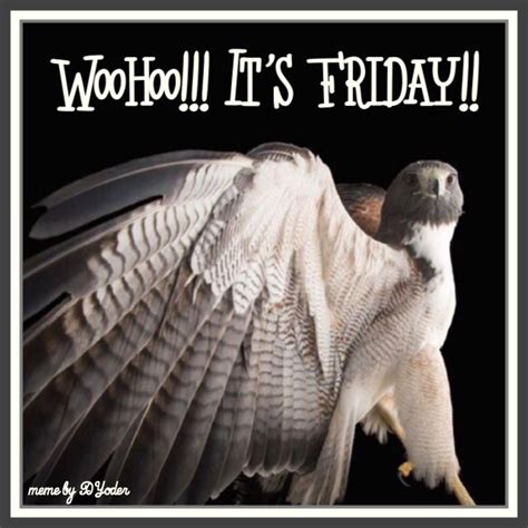 Woohoo Its Friday Owl Photo By Joel Sartore Owl Photos Owl Owl