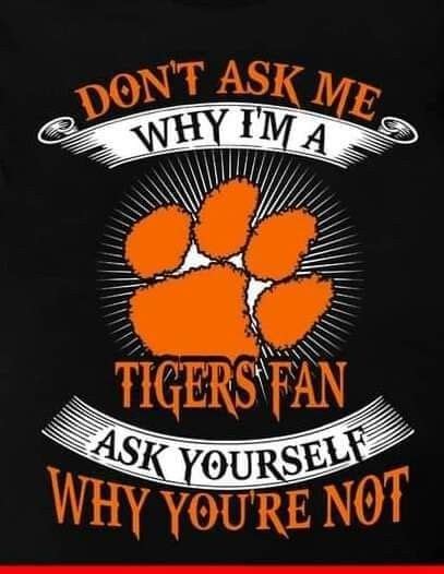 Pin By Kimberly Dean On My Tigers Football Clemson Tigers Football Clemson Fans Clemson