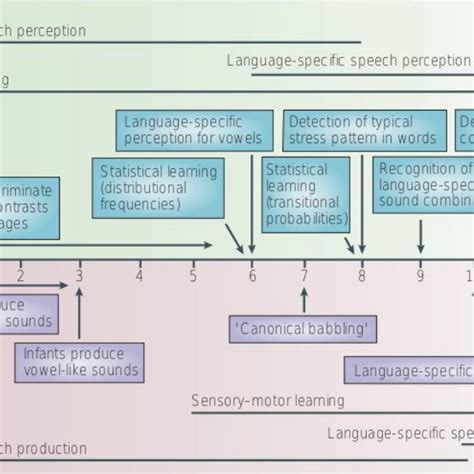 The Development Of Speech Perception And Speech Production In Typically Download Scientific