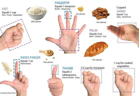 Measuring Portions Using Your Hand R Coolguides