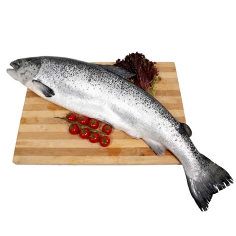 Buy Fresh Whole Norwegian Salmon 23kg Online Shop Fresh Food On