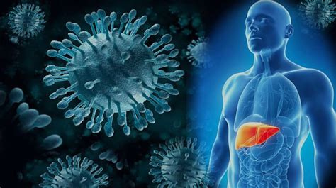 Hepatitis C La Enfermedad Que Mata Silenciosamente Sin Presentar
