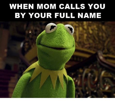 Download Meme Frog Name Png And  Base