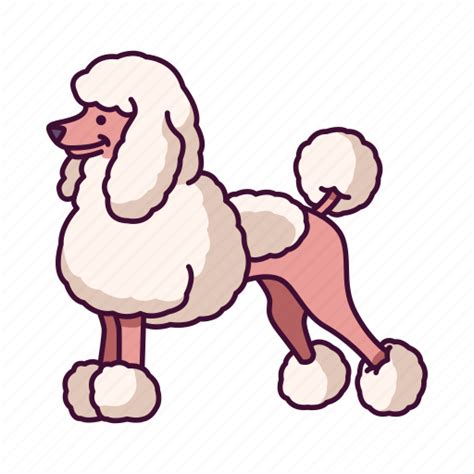 Animals Dogs Pet Poodle Icon Download On Iconfinder