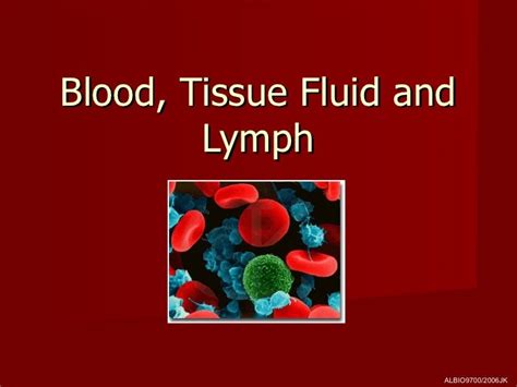 02 Blood Tissue Fluid And Lymph