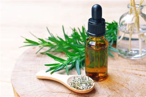 Studies show that certain essential oils can quiet your cough without the icky side effects. 15 Effective Essential Oils for Cough, Cold and Congestion