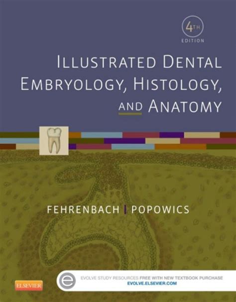 Illustrated Dental Embryology Histology And Anatomy Ebook En Laleo