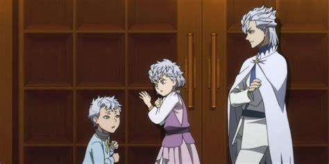 Black Clover 10 Things Only True Fans Know About Noelle