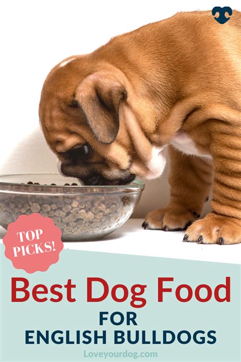 Pin On Dog Nutrition