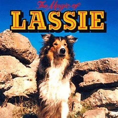 España En Los Años 50 Y 60 Series De Tv Lassie Tv
