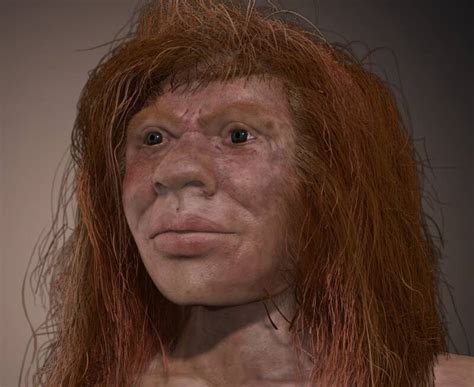 Dna Reveals The First Evidence Of Neanderthal And 17934 Hot Sex Picture