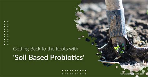 8 Advantages Of Soil Based Probiotics In The Human Body Safermedicalofmt