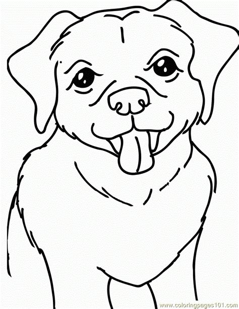Yellow Lab Coloring Pages At Free Printable