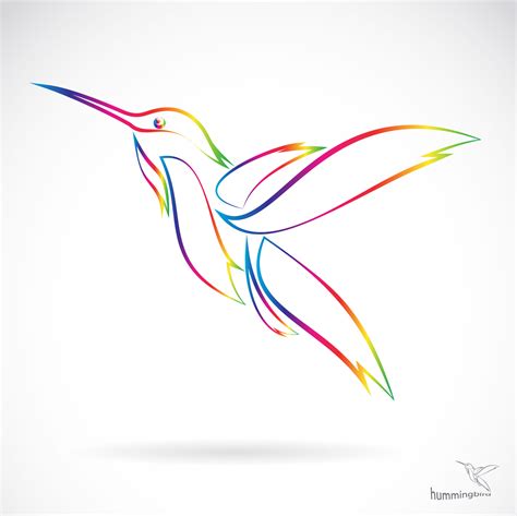 Abstract Hummingbird Vector Free Download
