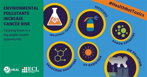 Health And Environment Alliance Infographics Toxic Chemicals