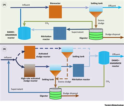 Wastewater Opportunities For Denitrifying Anaerobic Methane Oxidation