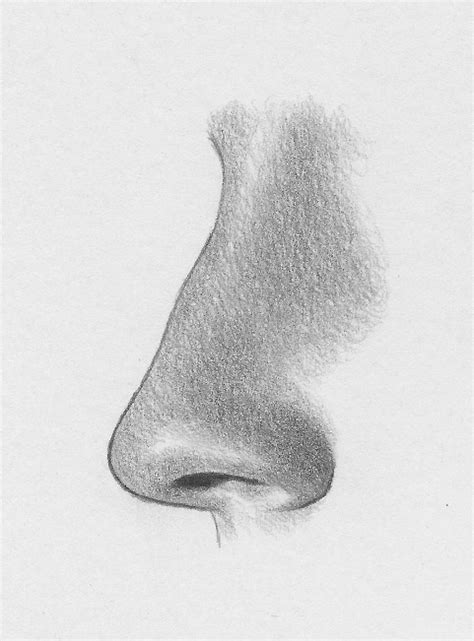 How To Draw A Female Nose Side View Image From