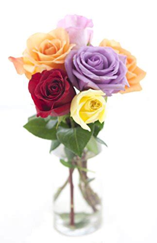 Bouquet Of Long Stemmed Rainbow Roses Half Dozen With Vase
