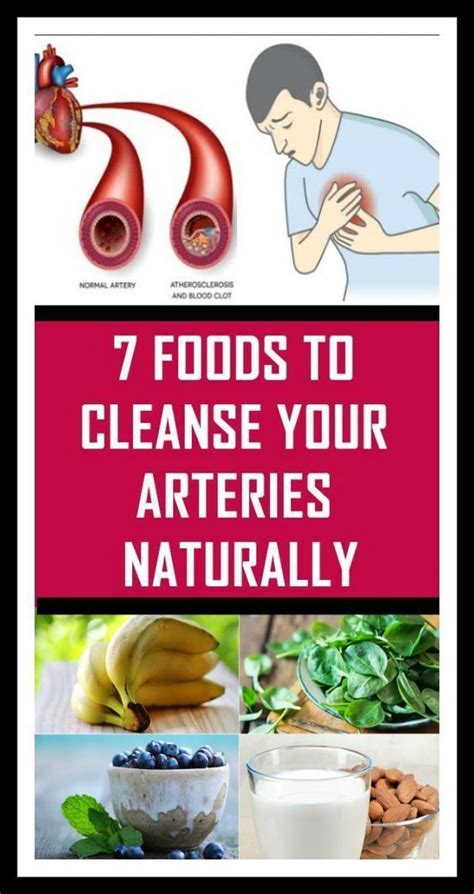 7 foods to cleanse your arteries naturally with images arteries healthy lifestyle tips