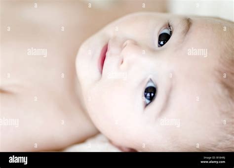 10 Months Old Eurasian Baby Boy Montreal Quebec Canada Stock Photo