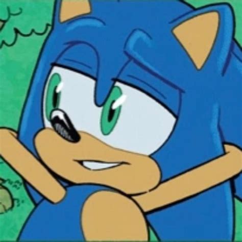 Shadow Gave The Chao The Apple Oh My Goodness In 2022 Sonic And