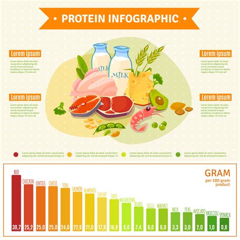 Healthy Protein Food Infographic Flat Poster 477419 Vector Art At Vecteezy