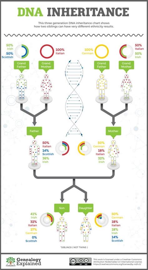 Do Siblings Have The Same Dna Genetics Ancestry And Ethnicity Explained
