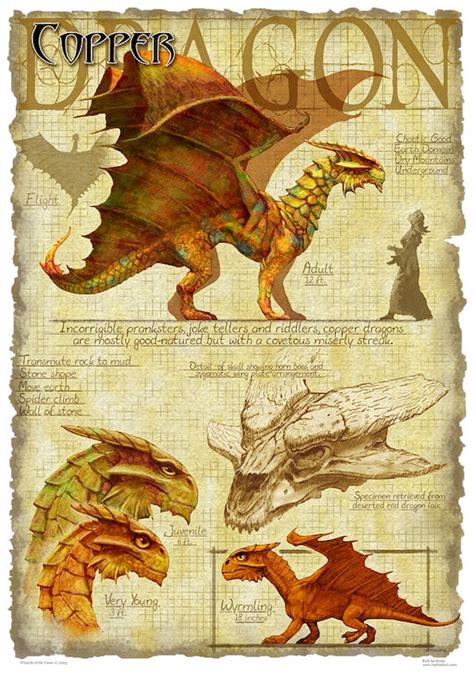 Items Similar To Copper Dragon Print Draconomicon Metallic Dragon