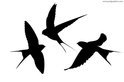 Swallow Silhouette Bird Animal Silhouettes Png Download 50003333