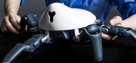 meet hexa the six legged robot that wants to dance and be your friend