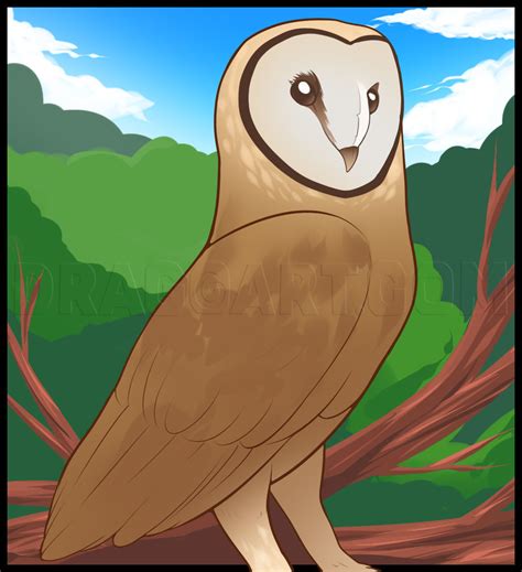 I use thin, light lines so that the leaves won't distract the viewers' attention from the owl. How To Draw A Barn Owl, Step by Step, Drawing Guide, by ...