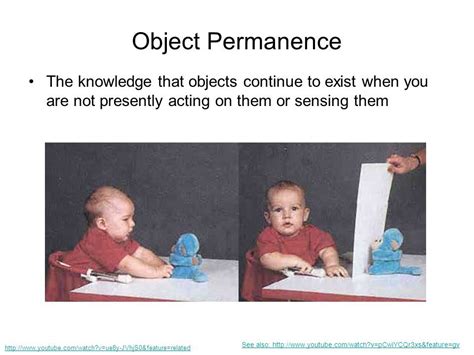 Image Result For Object Permanence Object Permanence Sociology Psychology