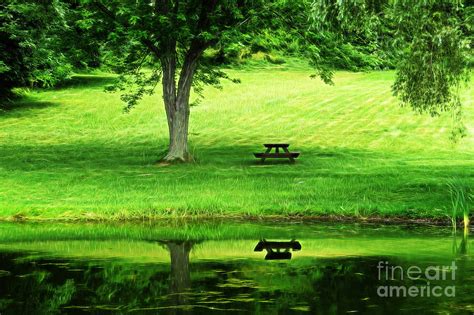 Picnic Table By The Lake Photograph By Dawn Gari